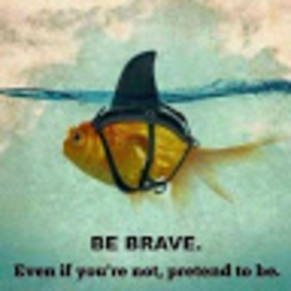 Meet your Posher, Denny